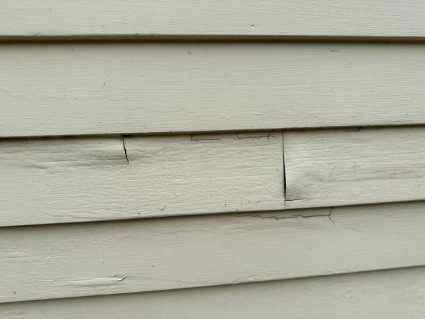 Best Composite Siding  in Browns Point, WA